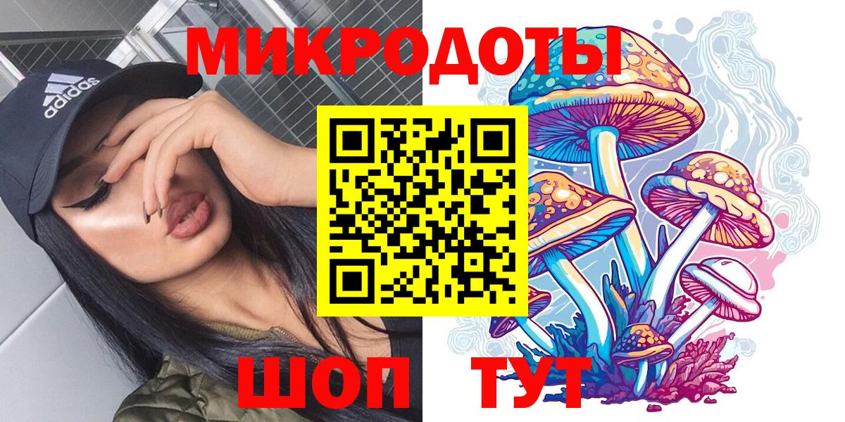 Псилоцибиновые грибы мицелий  наркота  Вход с VPN  Горно-Алтайск  Галлюциногенные грибы Psilocybe 