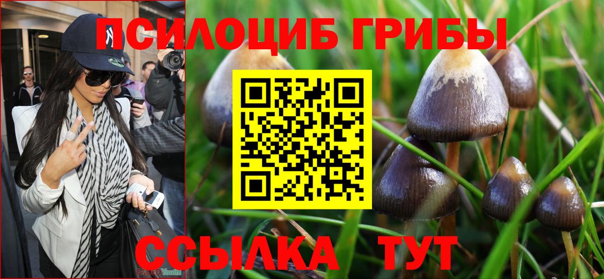 Псилоцибиновые грибы GOLDEN TEACHER Горно-Алтайск